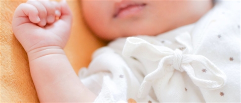 毛穴と髪と白髪の構造